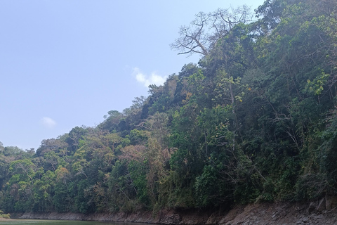 Panamá: Excursión al Pueblo EmberaPanamá: Excursión al Pueblo Embera Tusipono