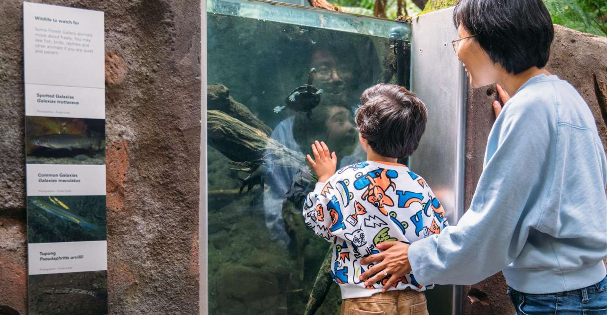 Melbourne: Melbourne Museum Entry Ticket photo 8