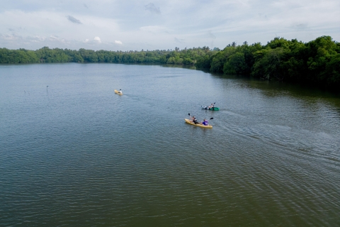 Kayak al Amanecer en la Laguna de Negombo