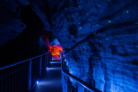 From Auckland: Waitomo Glowworm and Ruakuri Caves Day Tour