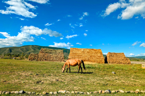 From Tbilisi: Guided Horseback Riding Tour with Transfer 1-Hour Horseback Riding with Round-Trip Transfer