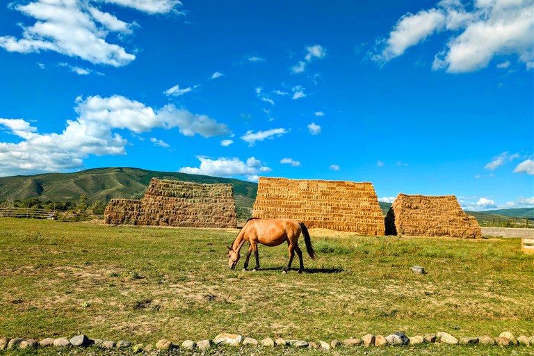 From Tbilisi: Guided Horseback Riding Tour with Transfer 1-Hour Horseback Riding with Round-Trip Transfer