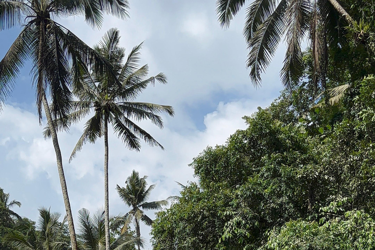 Ubud : Hidden Jungle River Tubing Adventure With Lunch Tubing Adventure with Lunch & Hotel Pickup