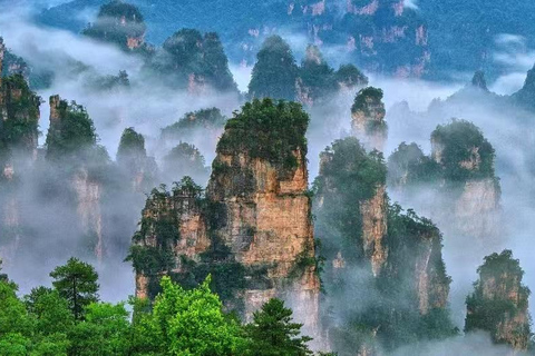 Zhangjiajie: National Forest Park & 72 Qilou Combo Ticket Zhangjiajie Glass Bridge and Grand Canyon Ticket