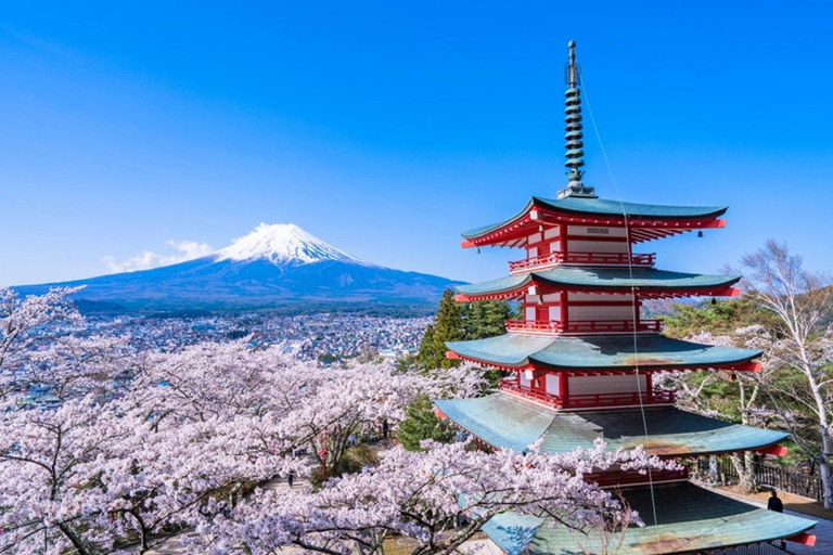 Vanuit Tokio: dagtrip naar de berg Fuji met de warmwaterbronnen van YamanakakoTour met pick-up van SMBC Bank Shinjuku Nishiguchi