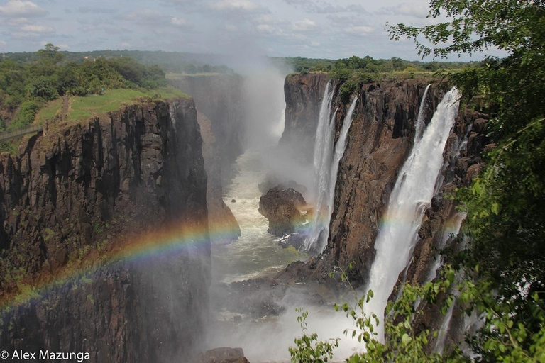 Guided Tour of The Falls