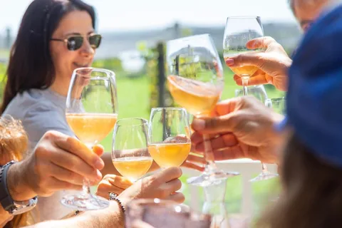 Buenos Aires: abbinamento di vini e pranzo al vigneto Gamboa