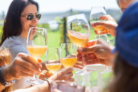 Buenos Aires: harmonização de vinho e comida e almoço na vinícola Gamboa (com transporte)