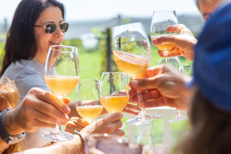 Buenos Aires: harmonização de vinho e comida e almoço na vinícola Gamboa (com transporte)