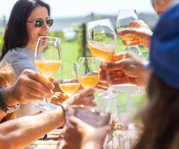 Buenos Aires: Harmonização de vinhos e almoço na Vinha da Gamboa