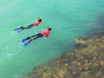 Adelaide: Fleurieu Snorkel & Beer Safari