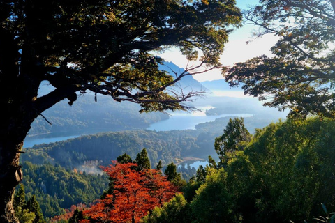 Bariloche: Shores of Nahuel Huapi and Campanario with Lunch Private Short Tour with Lunch and Ascent Included