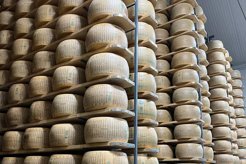 Visite privée du Parmigiano Reggiano, du Prosciutto et du Balsamico