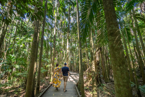 Visite VIP de l&#039;usine de gingembre et de Mountville au départ de BrisbaneCircuit + prise en charge et retour à Brisbane City