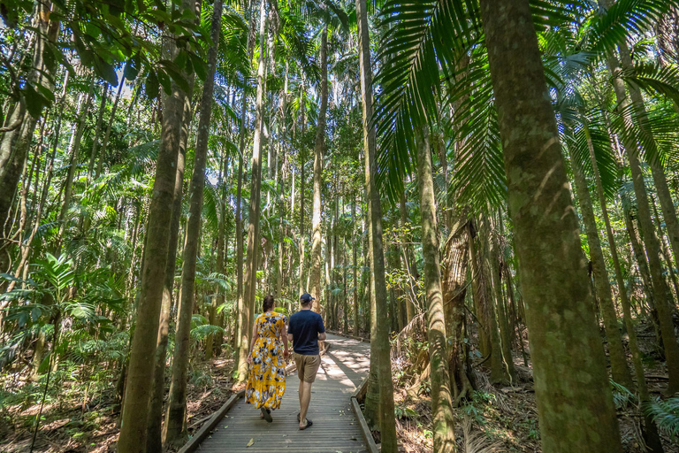 Brisbane to Sunshine Coast Hinterland Private Group Tour Luxurious Car - 4 guests