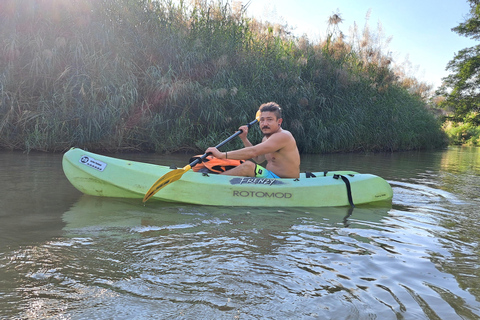 Chiang Mai: Natura e campagna in bicicletta per un'intera giornataVisita guidata in inglese