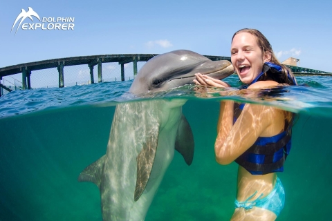 Nada con delfines en Punta CanaExplorador de Delfines Punta Cana