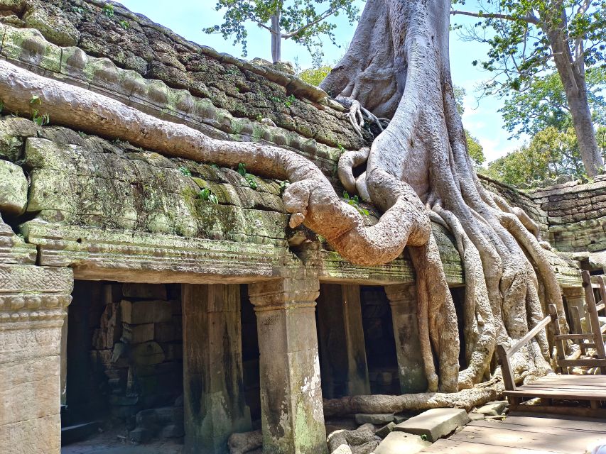 Angkor Wat, Angkor Thom ve Bayon Tapınağı: Özel Günlük Tur | GetYourGuide