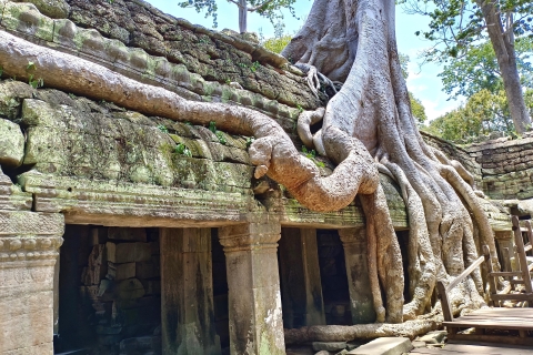 Angkor Wat, Angkor Thom & Bayon Temple: Private TagestourTour auf Deutsch