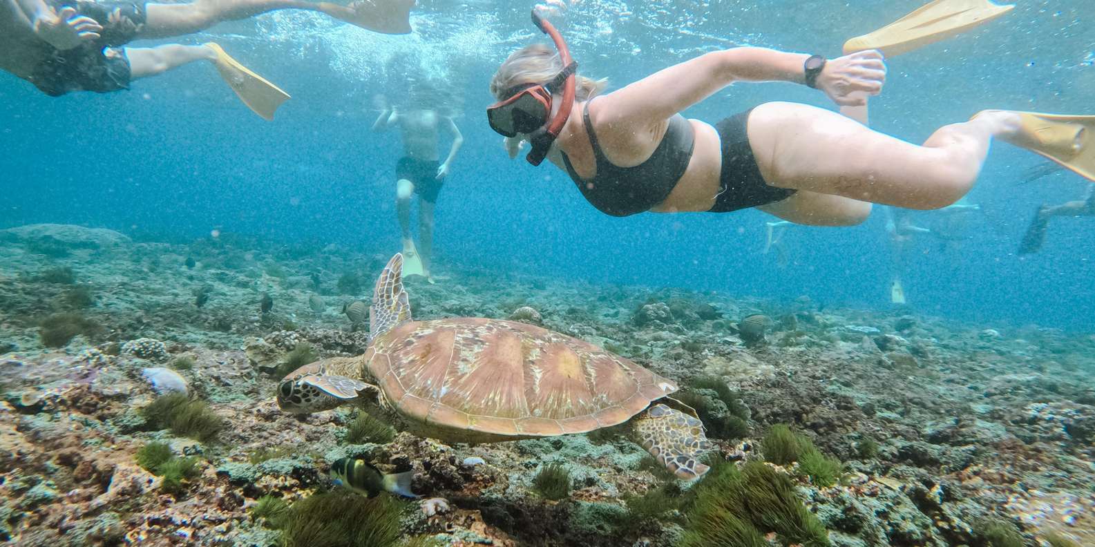 Bali: Premium Yacht Nusa Penida Manta Snorkeling & Land Tour — gallery image 5