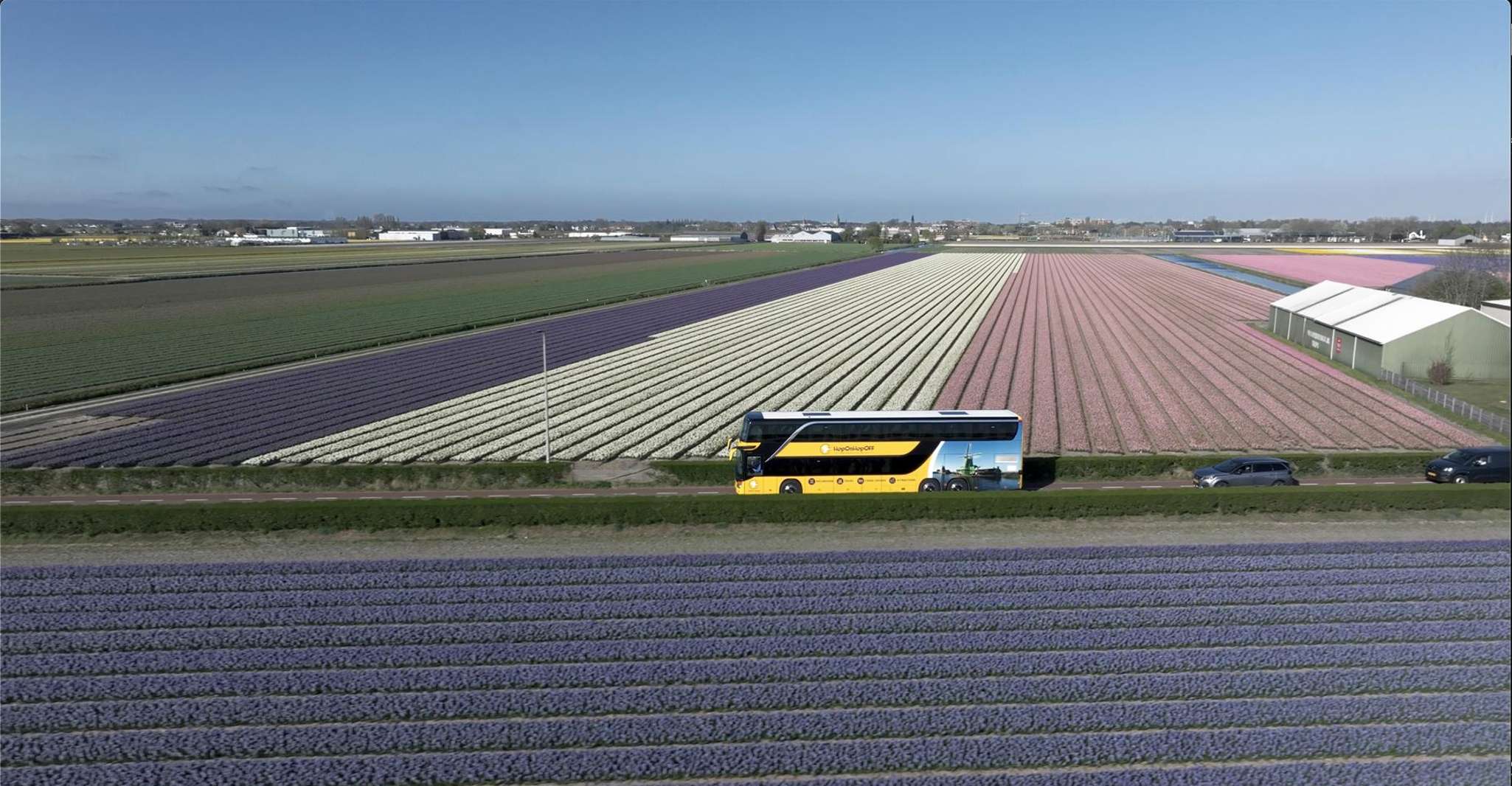 Amsterdam: Tulip Farm Visit, Keukenhof, and Windmill Cruise photo 12