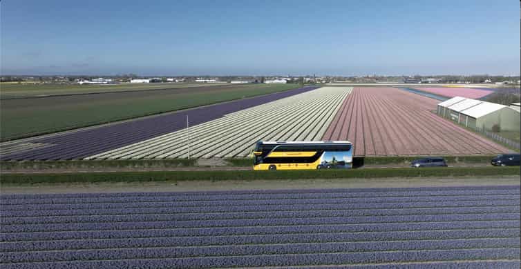 Amsterdam: Tulip Farm Visit, Keukenhof, and Windmill Cruise photo 12