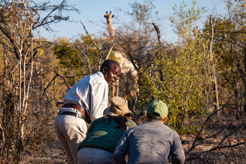 Victoria Falls: Game Walk in the Zambezi National Park Afternoon Game Walk