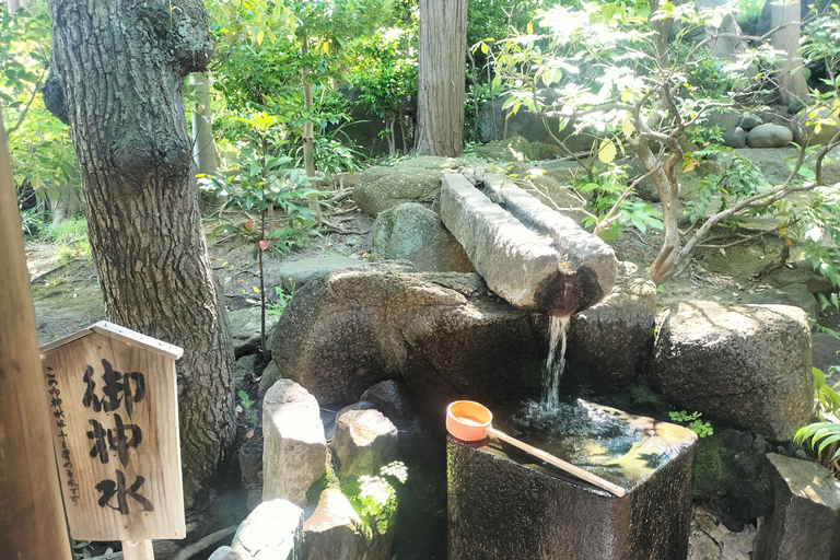 Tokyo: Ginza to Shibamata Walking Tour with Guide