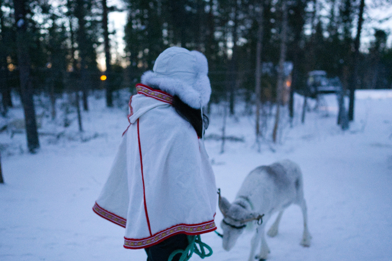 Levi: Enchanted 1.5km Forest Reindeer Sleigh Ride