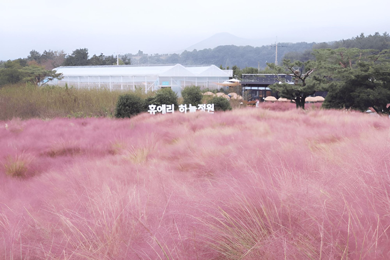 2024 Jeju Autumn Tour com Pink Muhly Festival