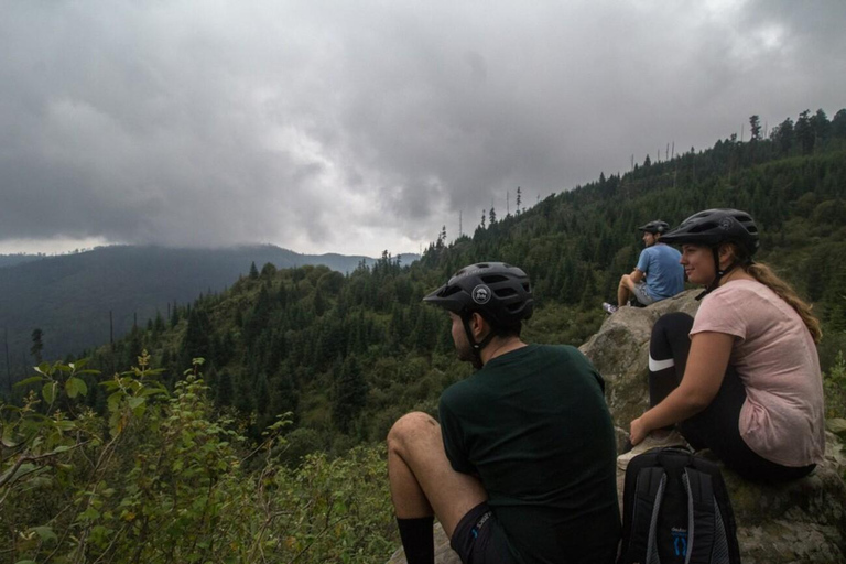 Mexiko-Stadt: Fahrradtour in der Löwenwüste