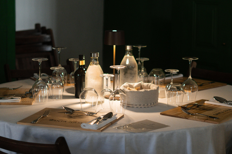 Douro Valley: Quinta Santa Júlia Tour, Wine Tasting & Lunch