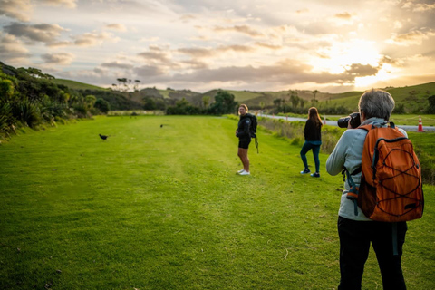From Auckland: Kiwi Wilderness Experience Guided Tour