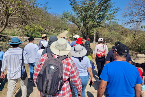Oaxaca: Monte Albán Tour with Breakfast at Abastos Market
