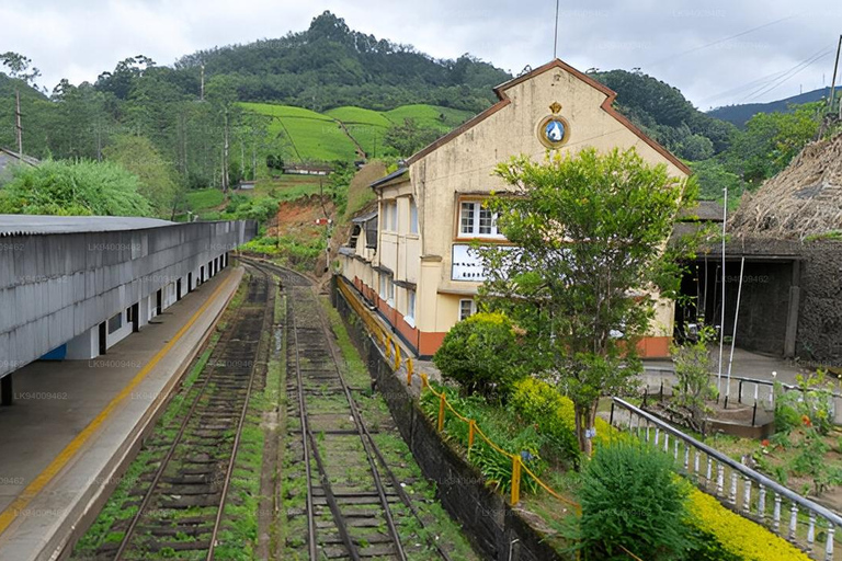 Kandy: Nuwara Eliya and Ambewela Train Station Tour