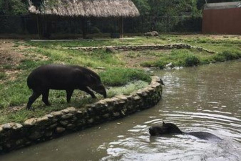 Quito: Zoo Tour with Transportation and Admission or Ticket