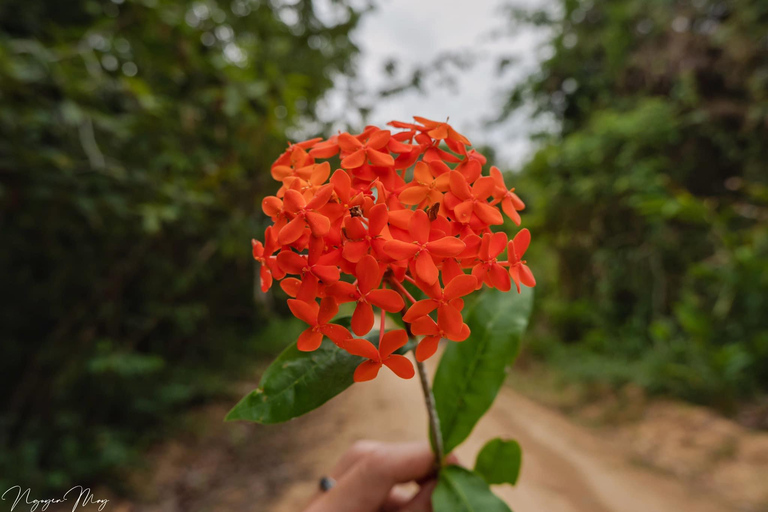 Cat Tien National Park Private 2-Day Tour With Female GuideFood, hotel are excluded