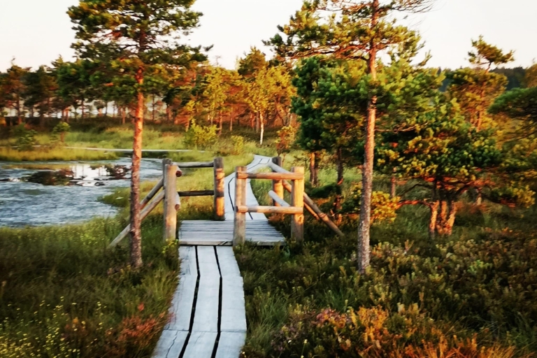 De Riga: Sentier naturel du parc national de Kemeri