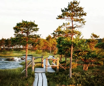 Kemeri National Park Bog Trail near Riga