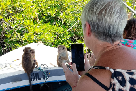 Hamilton Canal Boat Sapari & Negombo Mangrove Sightseeing