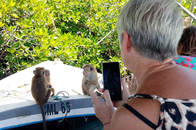 Hamilton Canal Boat Sapari & Negombo Mangrove Sightseeing
