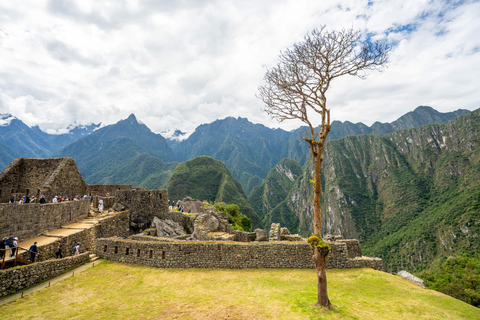 From Cusco: Machu Picchu 1-Day Tour with Entrance Circuit 3