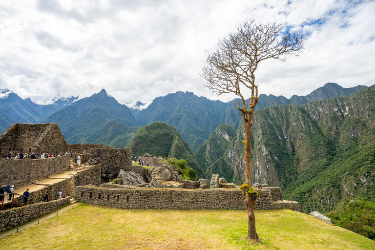 From Cusco: Machu Picchu 1-Day Tour with Entrance Circuit 3