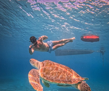 Curaçao: Playa Piskado Seabob Adventure (Sea Turtles)