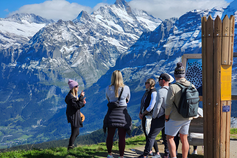 Männlichen : dégustation de fromages et de chocolats au sommet de la montagneMännlichen : Dégustation de fromages et de chocolats au sommet de la montagne