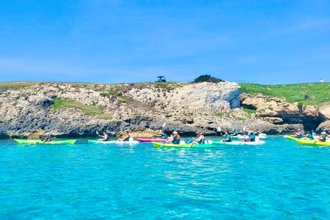 Bonifacio: Kayak tour and swim in the nature reserve up to the cliffs   Bonifacio: Kayak tour and swim in the reserve up to the cliffs  