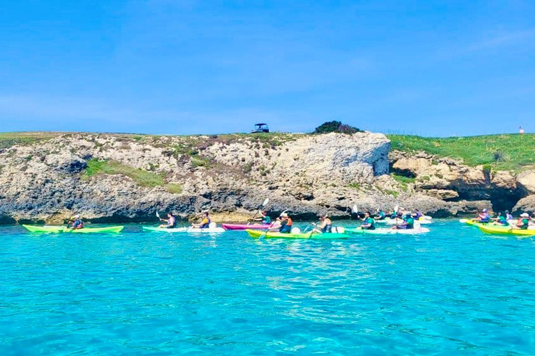 Bonifacio: Kayak tour and swim in the nature reserve up to the cliffs   Bonifacio: Kayak tour and swim in the reserve up to the cliffs  