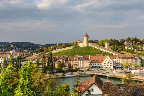 Lucerne:Private Car Tour-Rhine Falls, Titisee & Black Forest