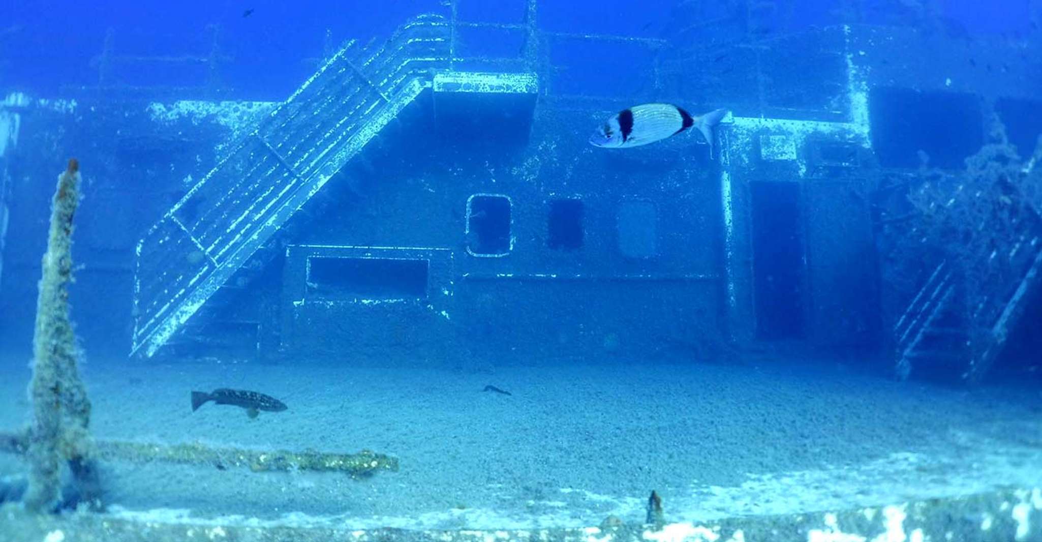 Larnaca, Zenobia Wreck Private Guided Dive - Hizvo
