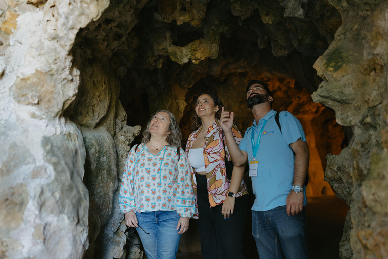 Sintra: Biglietto d'ingresso per Quinta da Regaleira e tour guidatoTour in portoghese